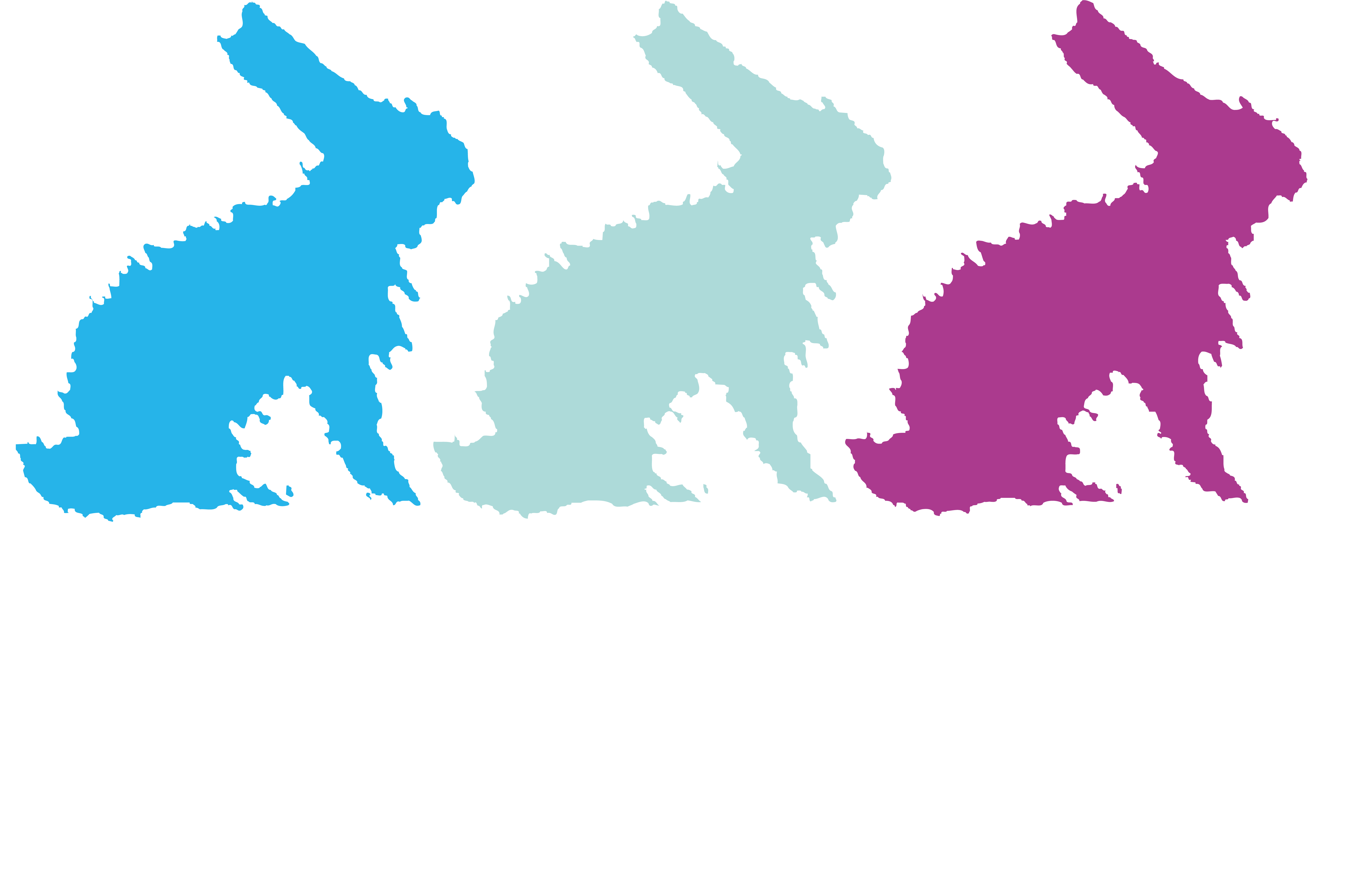 Hasena Logo